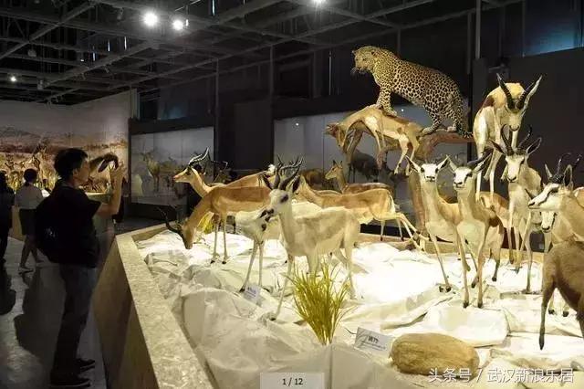 武汉打卡新地标,打卡老武汉新地标利友城