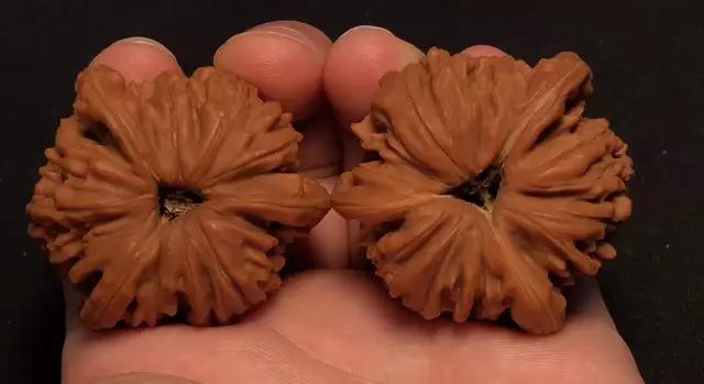 文玩核桃上油后变黄怎么办,文玩核桃上油发黑怎么处理