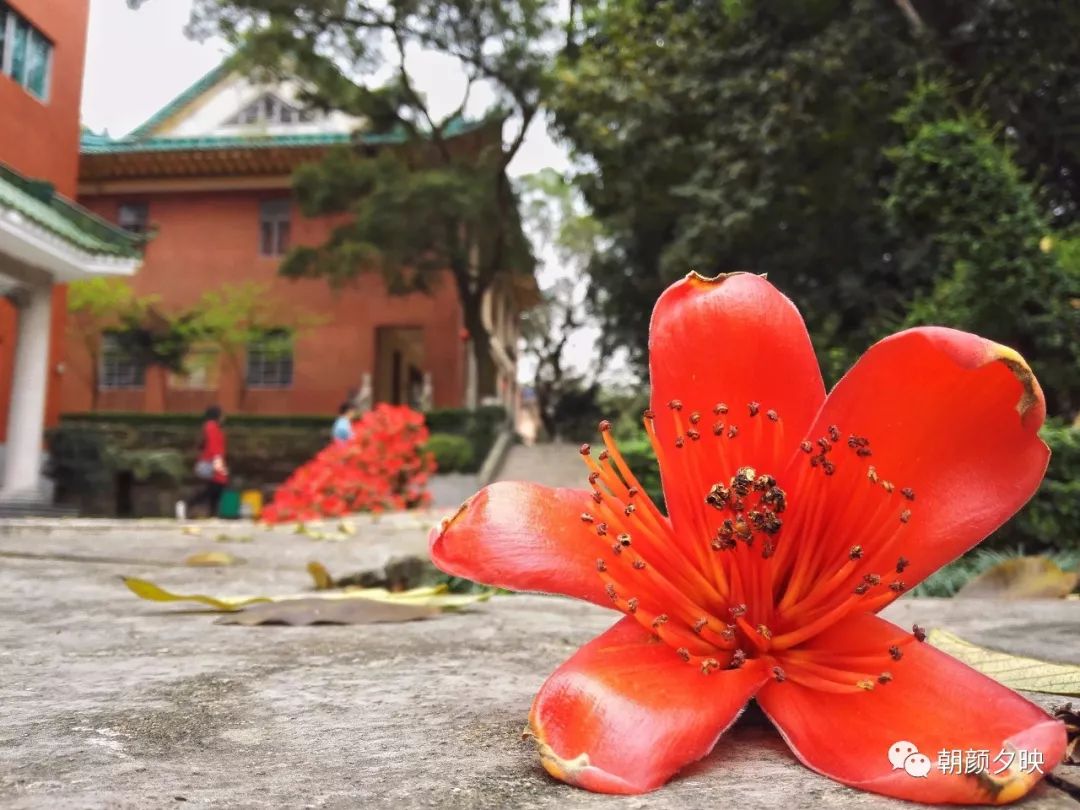 中山纪念中学100周年校庆,中山纪念中学80周年校庆