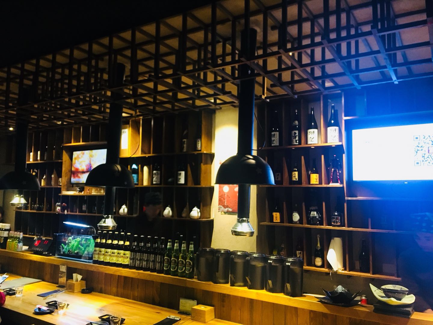 猫猫在路上,猫猫在路上走