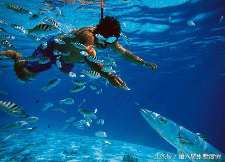 去大溪地旅游多少费用一周,去大溪地的费用