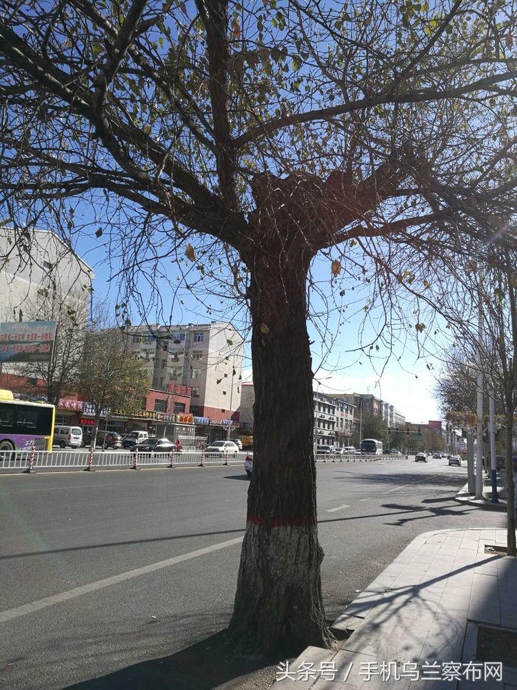 老集宁的回忆,老集宁的历史