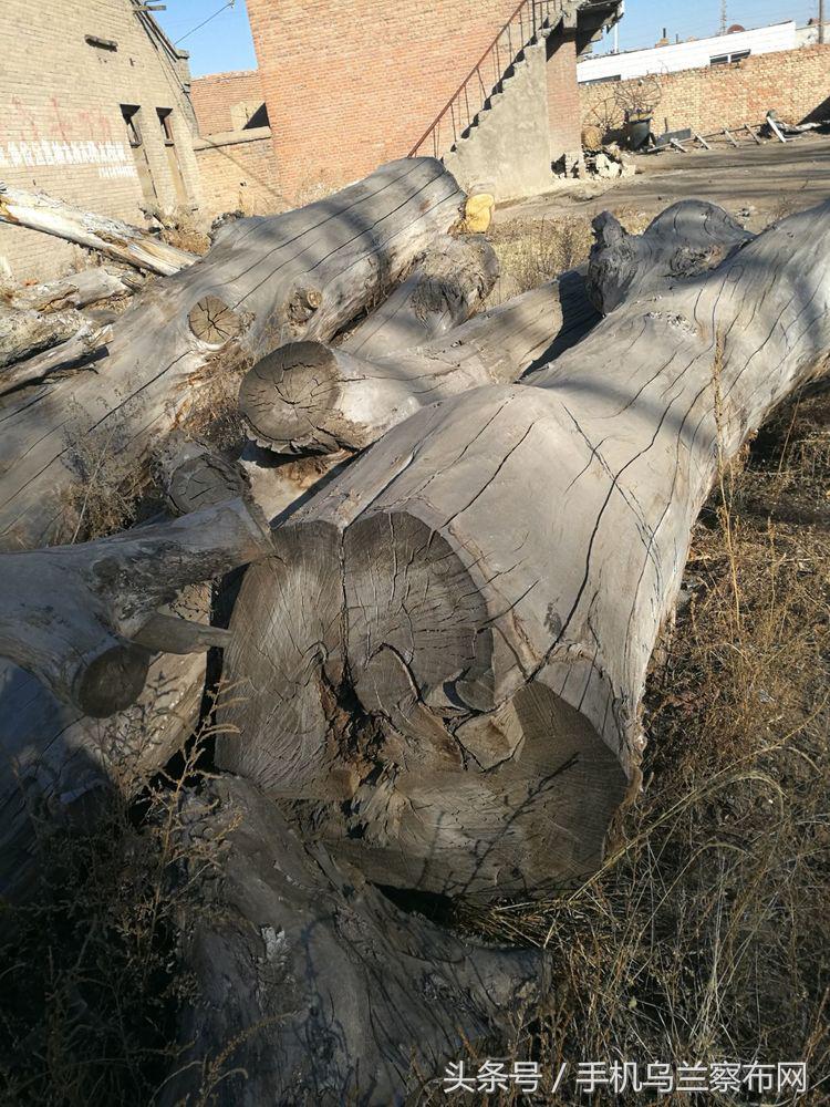 70年代的集宁,老集宁记忆