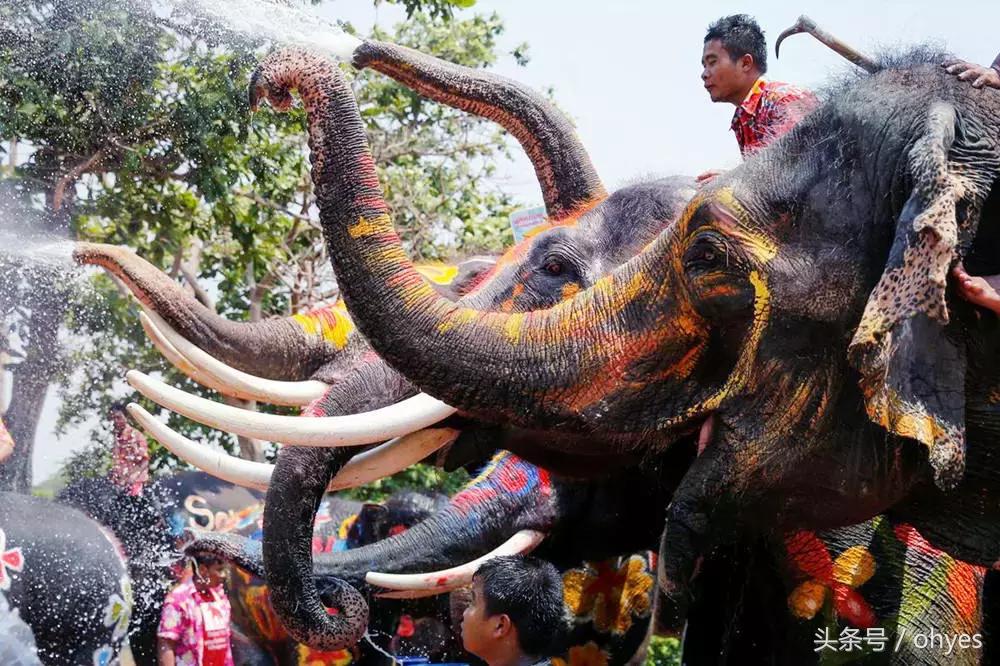泰国泼水节游玩穿搭,泰国泼水节游玩的最全攻略