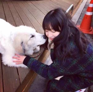 细数喜欢狗狗的女生的7个好处