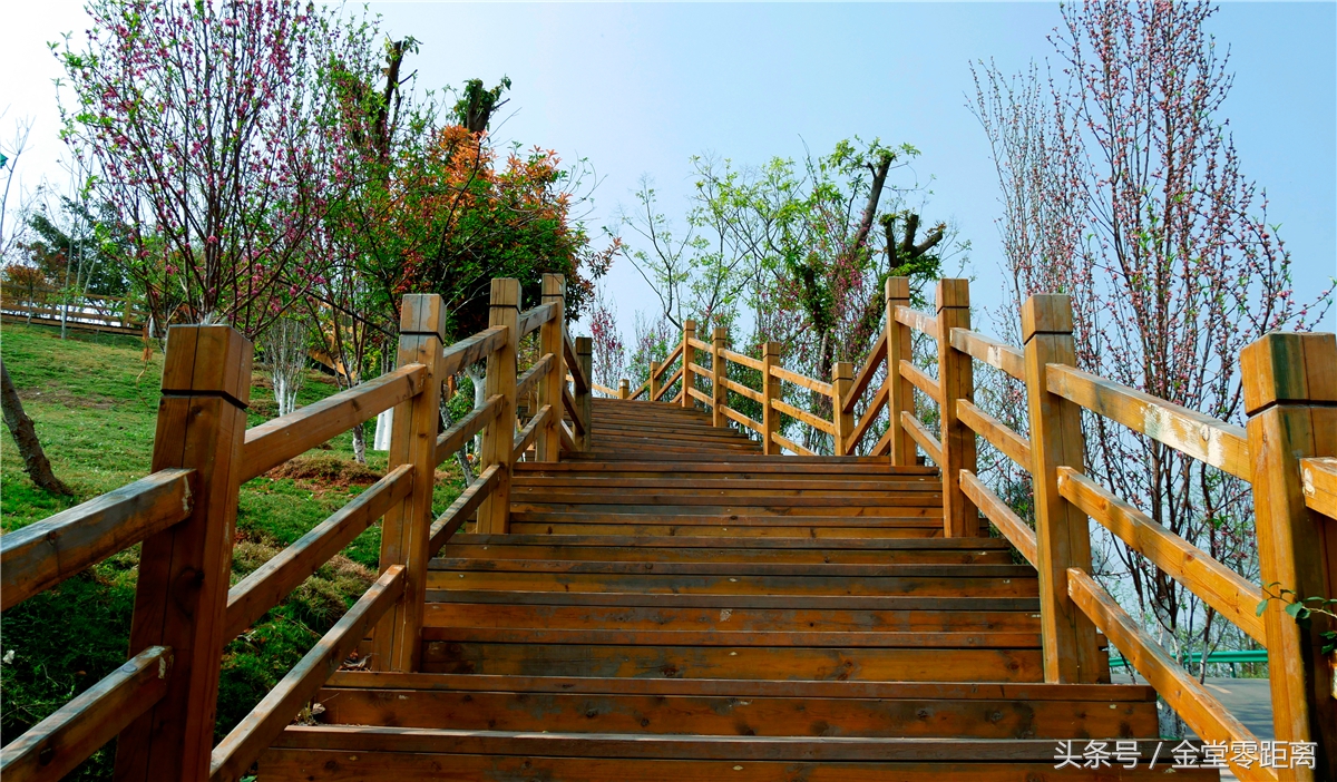 金堂玉皇山生态康养,金堂县玉皇养生谷详细介绍