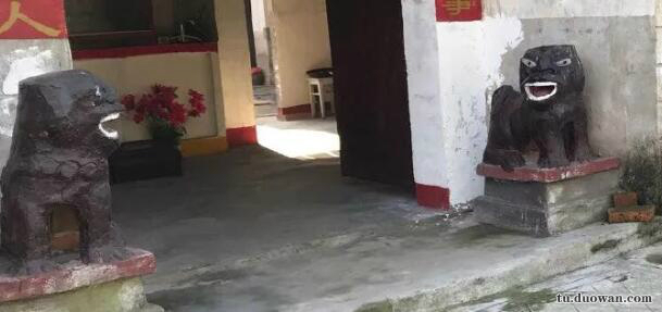 直击火爆全网的国字脸猴子,越看越像猴子一样的人