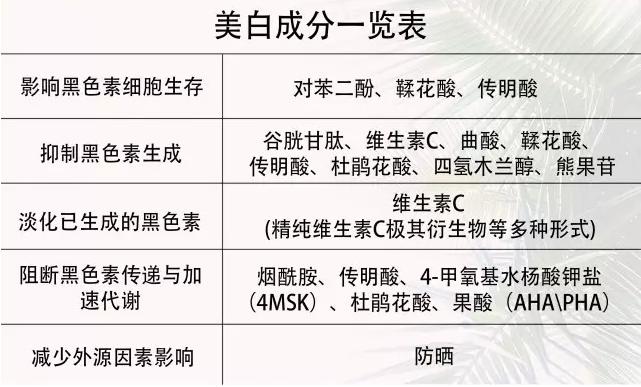 10款美白精华推荐,护肤品种草国货