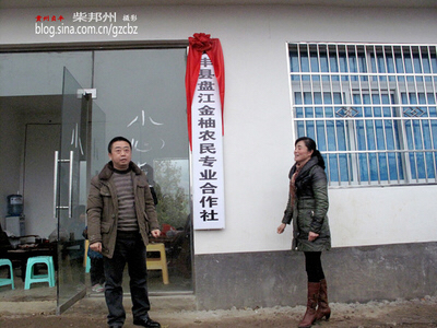 合作供销社是怎么成立的,供销合作社属于什么企业性质