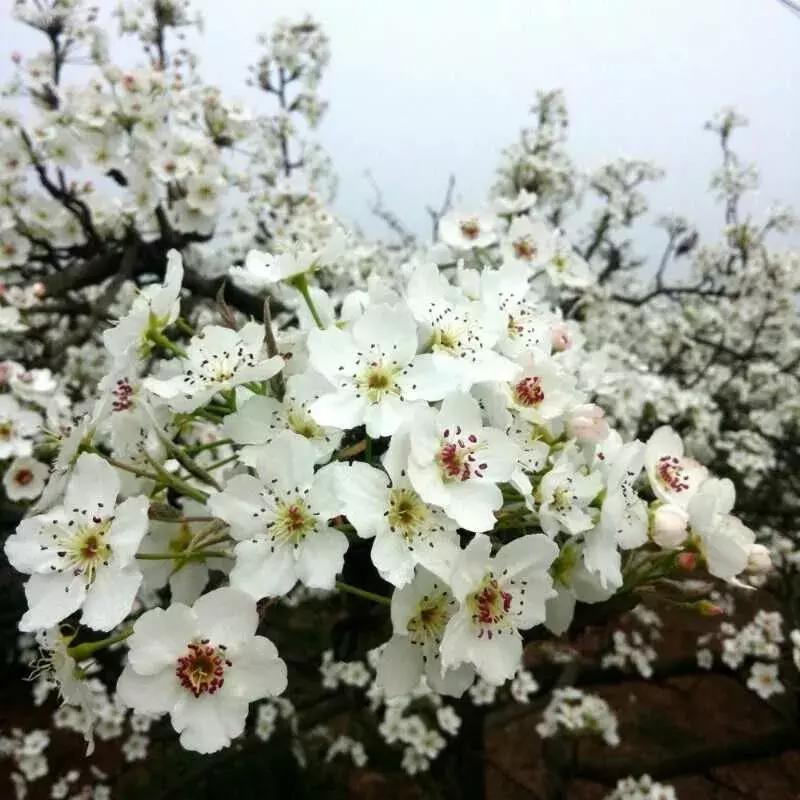 滨海，向全世界发出邀请！