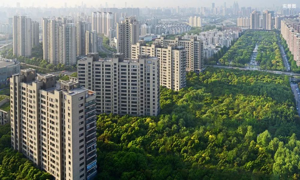 5万㎡大树草坪！金融区森林豪宅，它或是“世界杭”又一张新名片