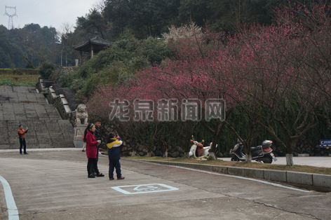 浙江龙泉地图,美丽浙江龙泉