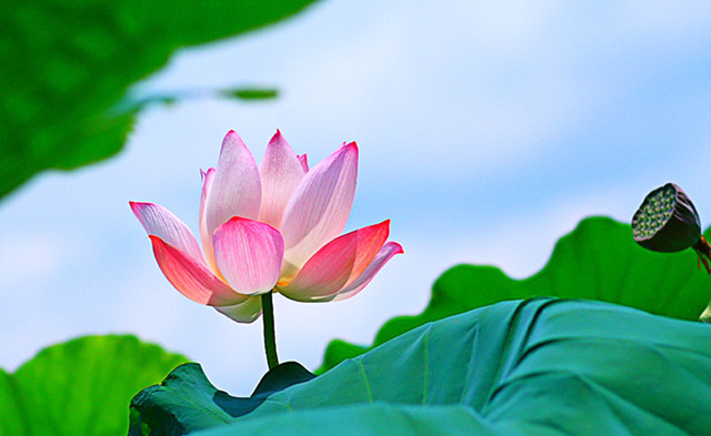 测试自己名字适合的数字,测自己名字的凶吉