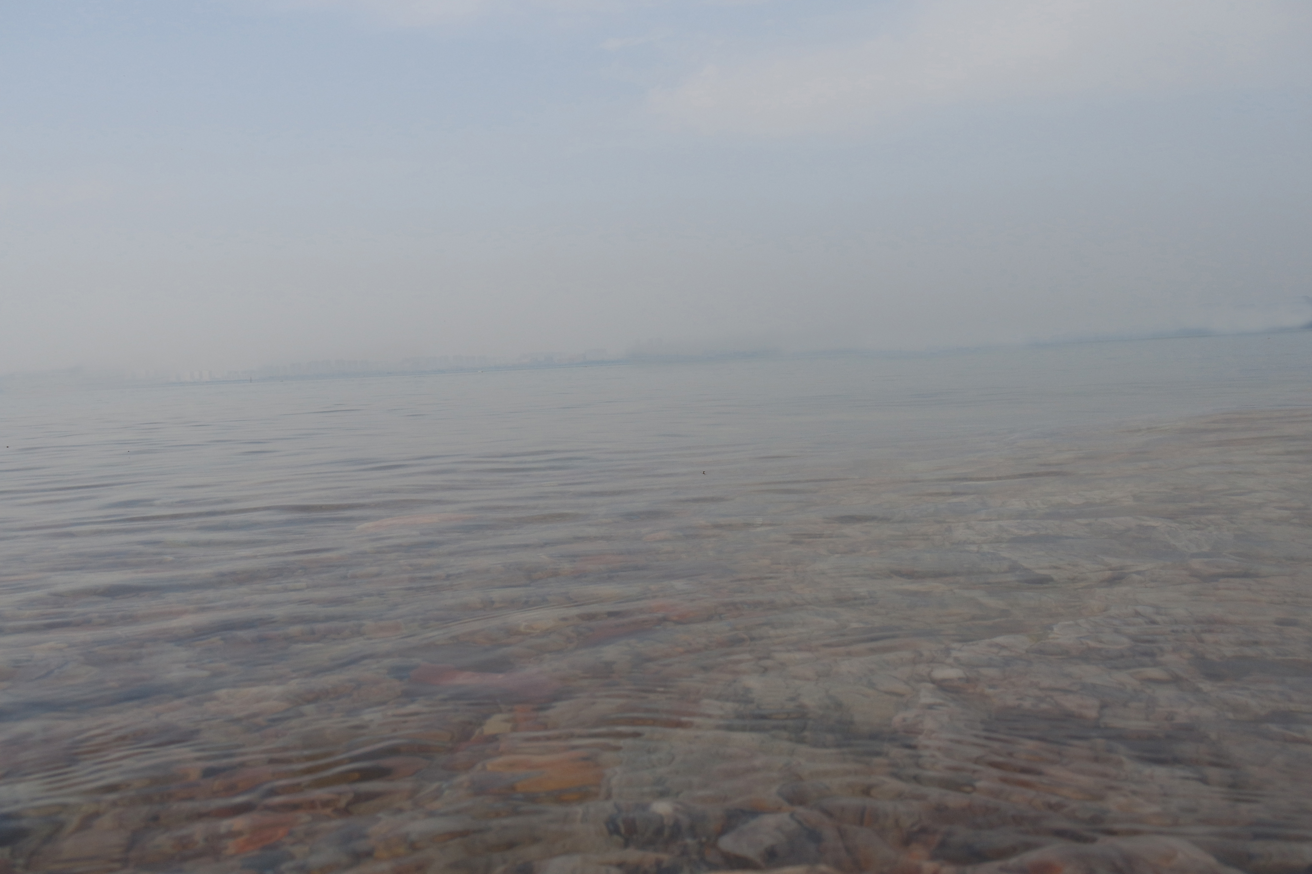 武昌理工学院的樱花,武昌理工学院回忆