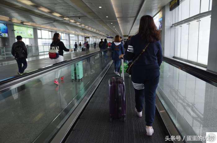 他们早出晚归来往于深圳香港,少则月入万元,多则年入百万