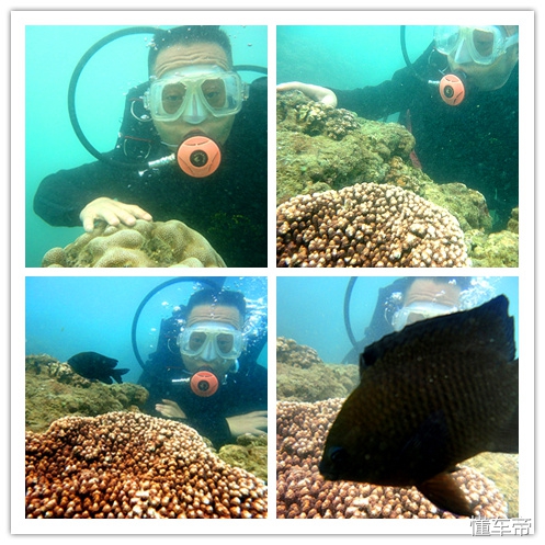 三亚东岛豪华游艇一日游,三亚东岛海鲜