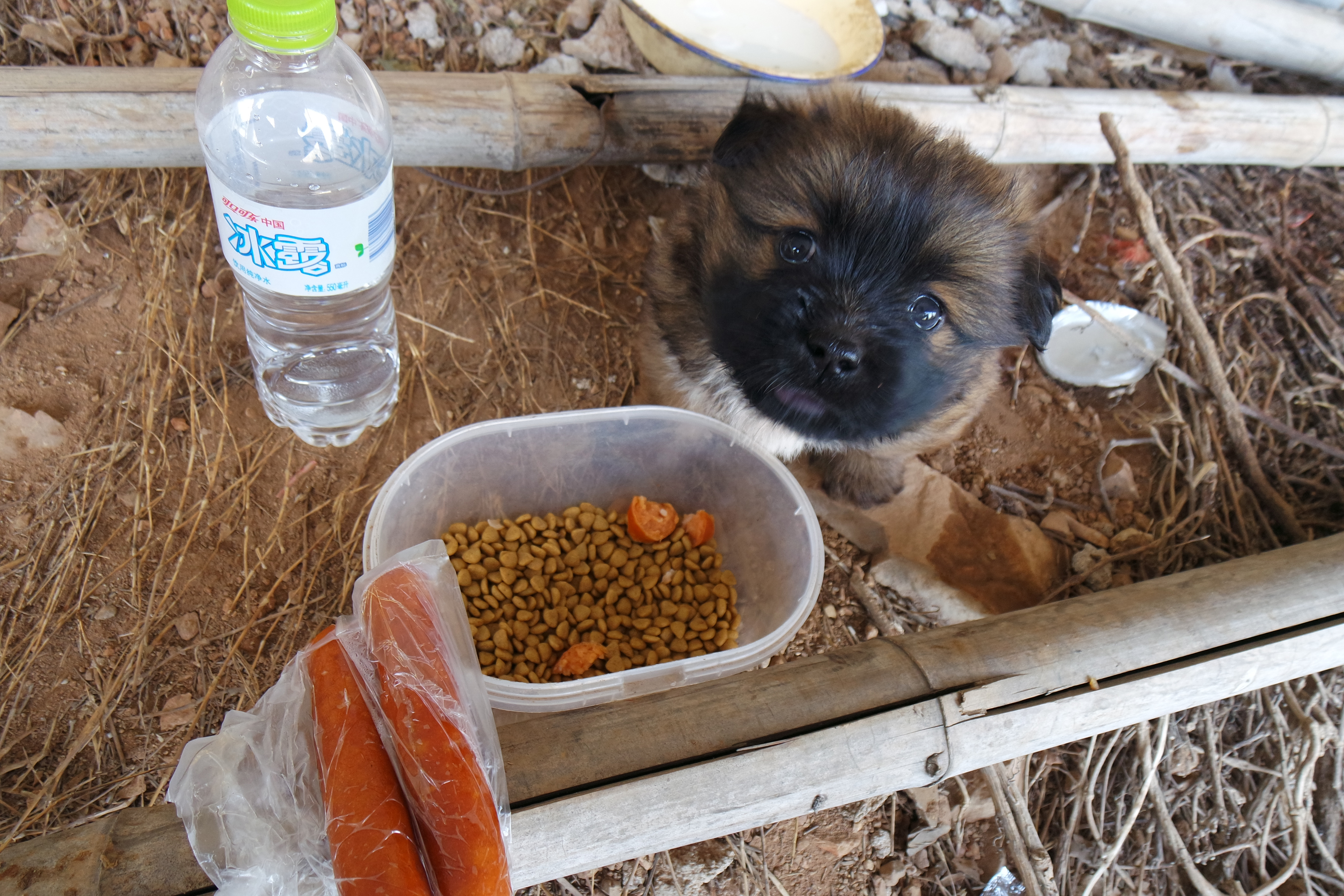 武昌理工学院的樱花,武昌理工学院回忆