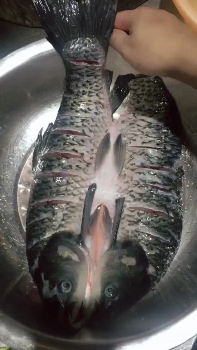 四川正宗麻辣烤鱼做法,四川麻辣烤鱼正宗做法