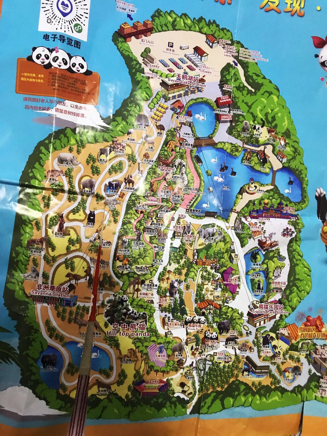 广州长隆野生动物园亲子游攻略,广州长隆野生动物园最全游玩攻略