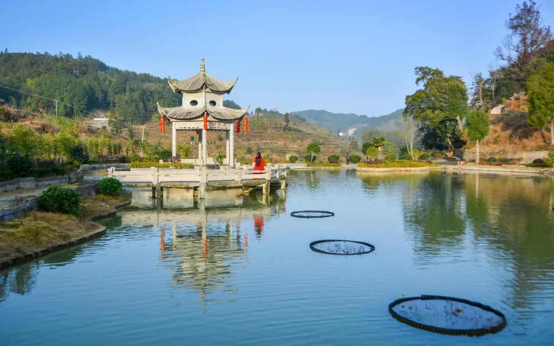 柘荣黄柏景点,柘荣黄柏村旅游攻略