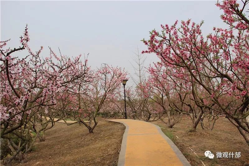 三月什邡旅游景点,三月的成都美景