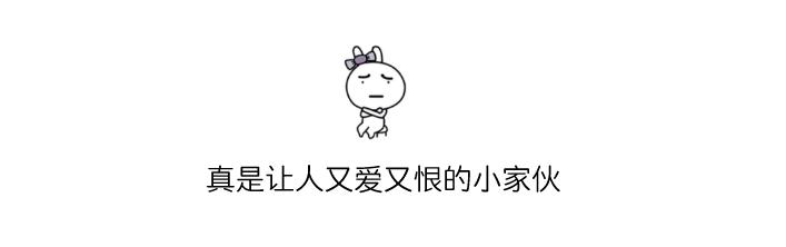 武汉仓鼠咬到小孩,小孩被小仓鼠咬伤