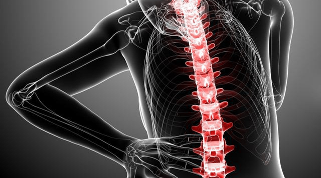 人疲劳为什么会困,人疲劳的原因是什么