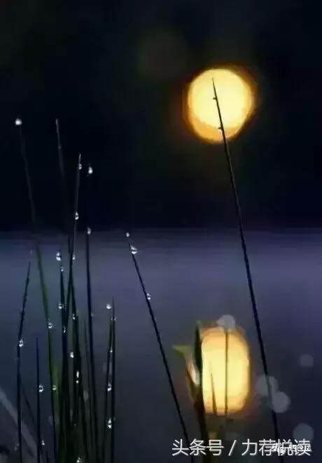 丹凤晒晒,丹凤桃花节风景