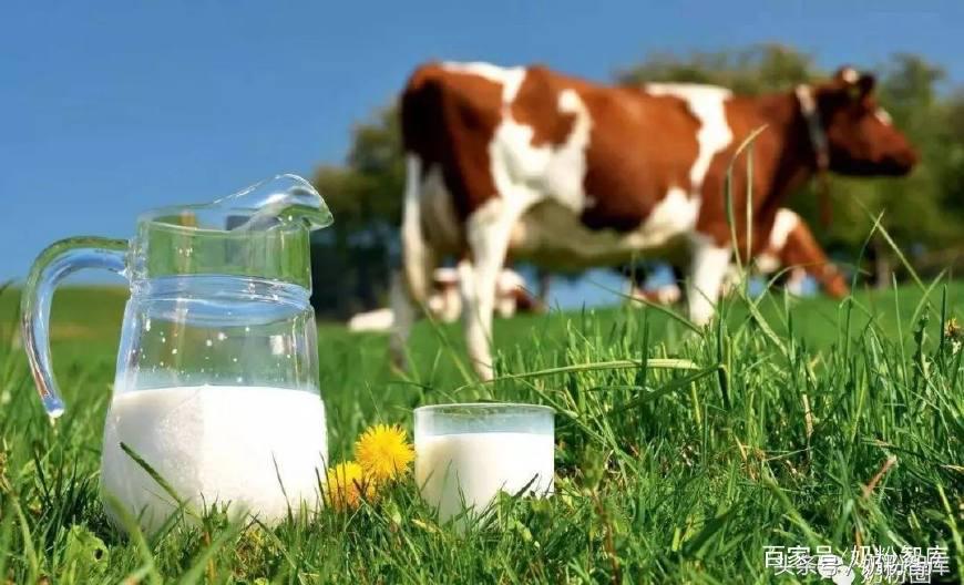 丹麦有机奶源是哪里,丹麦奶源好还是新西兰好