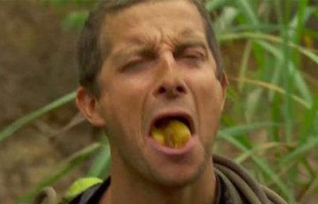 明明是“坏”蛋，还能吃？