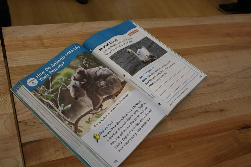 最新款ipad9.7价格,全新9.7寸ipad6128g