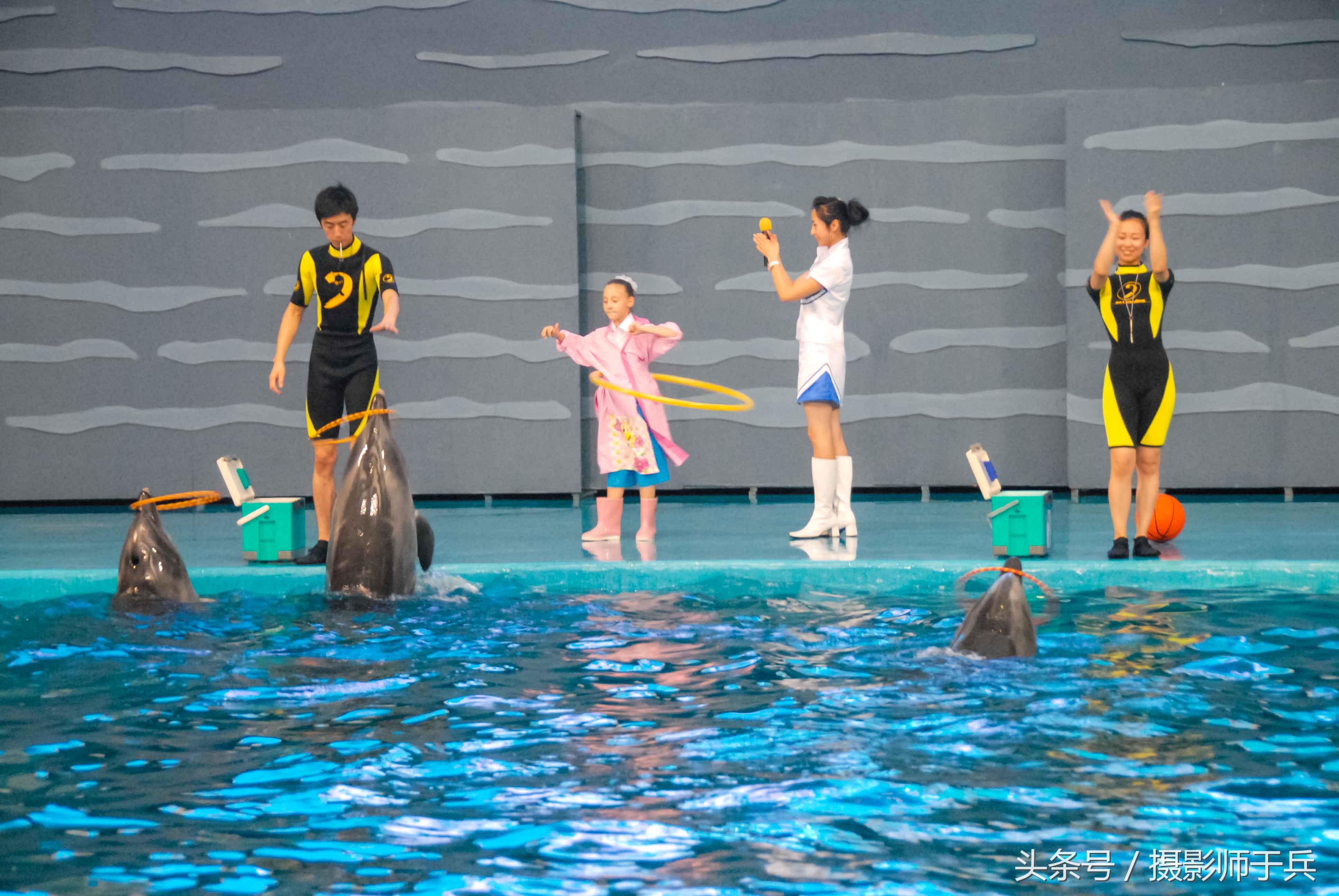 大连海洋主题公园在哪里,大连最著名的老虎滩海洋公园