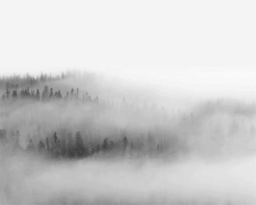 古筝电子音乐欣赏,古筝与音乐