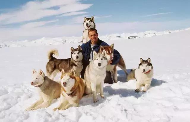 确认过的眼神是我想宠的人,确认过眼神是我想撩的灵魂