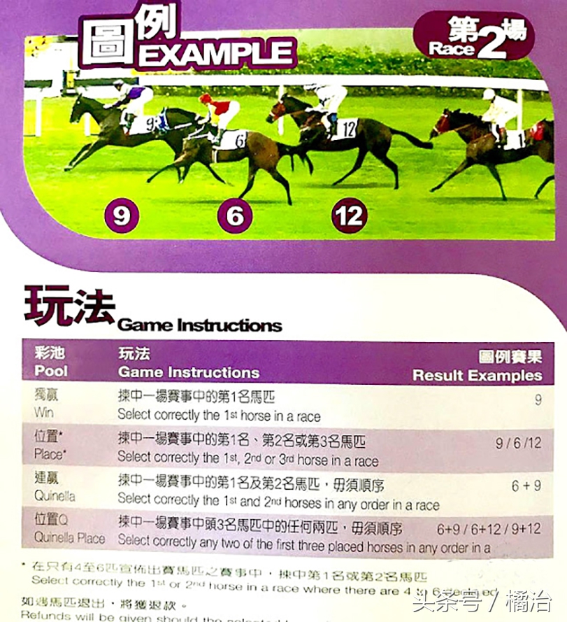 去香港赛马场，买张马票看马儿热血冲刺，超酷！（内含详细攻略）