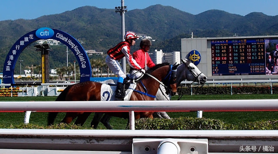 去香港赛马场，买张马票看马儿热血冲刺，超酷！（内含详细攻略）
