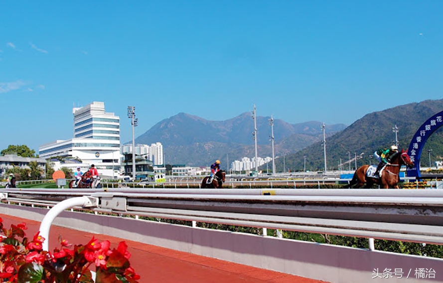 去香港赛马场，买张马票看马儿热血冲刺，超酷！（内含详细攻略）