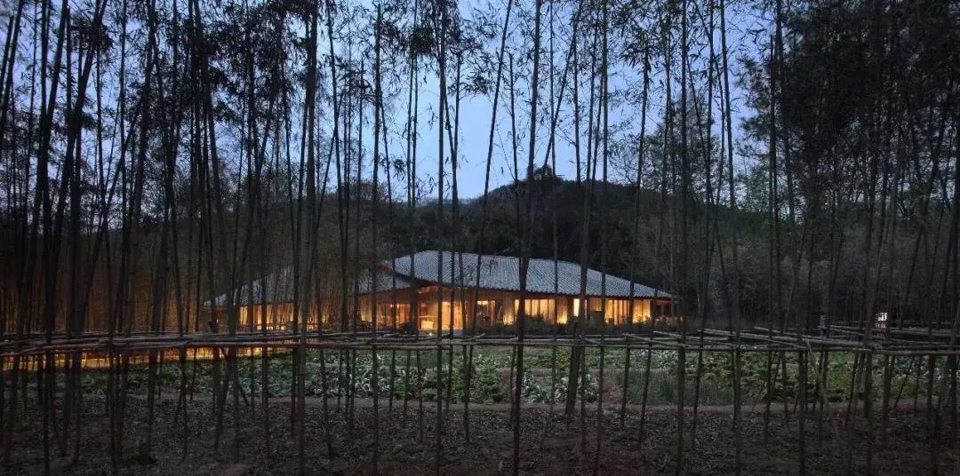 再上5天班，就放小长假！四川哪里*光春**诱人？靠谱实测甩给你