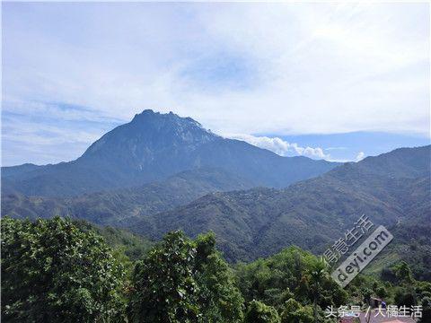 悠哉的沙巴行空气清新重要的是接机仅需1元