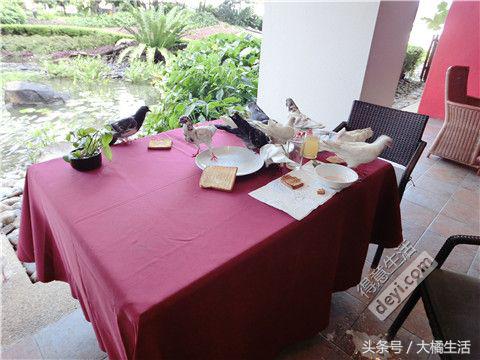 悠哉的沙巴行空气清新重要的是接机仅需1元