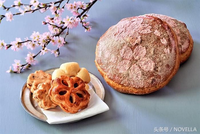 避开了人山人海的景点,避开人山人海去看星辰大海