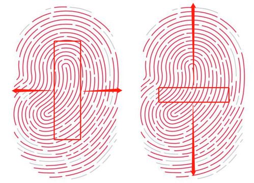 从滑动到按压，指纹识别技术一直为你保驾护航