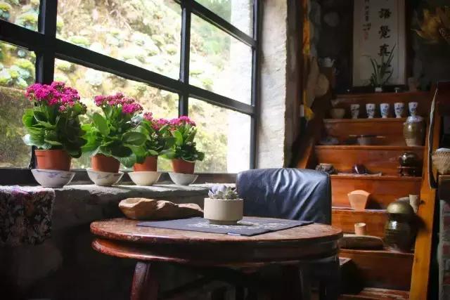 春来花自青秋至叶飘零原文解释,春来花自青秋至叶飘零出自哪里