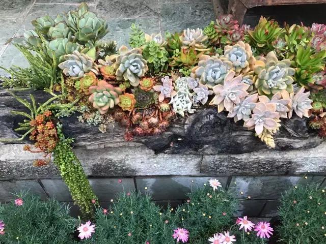 春来花自青秋至叶飘零原文解释,春来花自青秋至叶飘零出自哪里