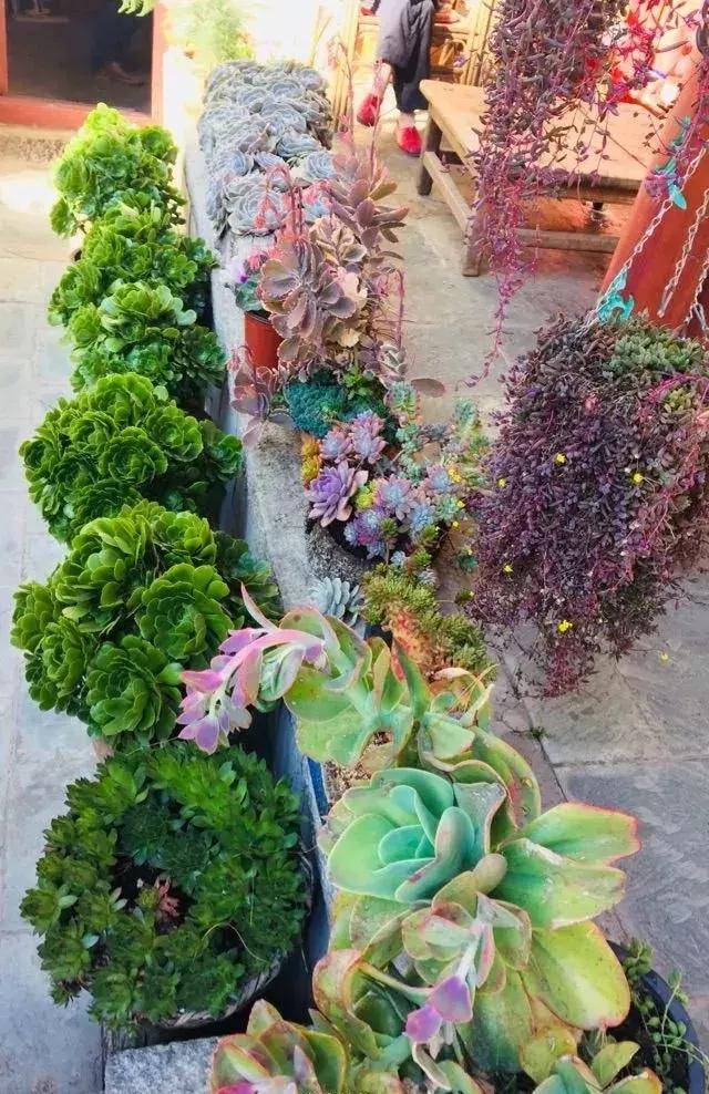 春来花自青秋至叶飘零原文解释,春来花自青秋至叶飘零出自哪里