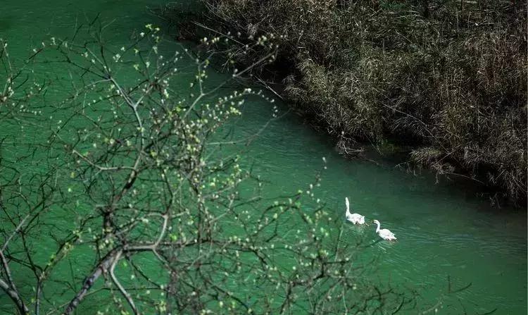 媲美九寨沟的碧湖潭，被誉为萍乡小三峡，是不可错过的世外仙境