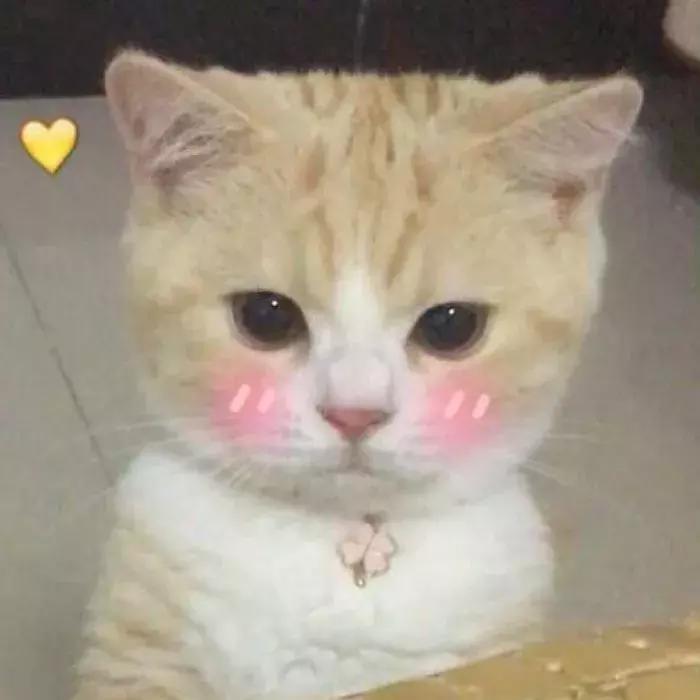 超级显白的口红推荐,这些口红颜色简直是黄皮救星