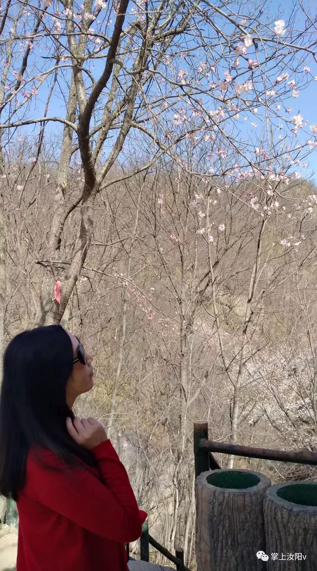 您好，我是汝阳，向全世界发出邀请……