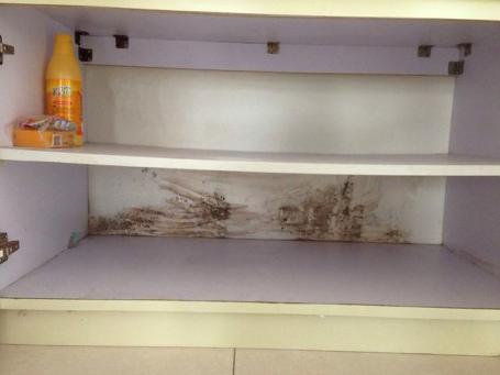 大理石橱柜发霉如何消除异味,橱柜发霉了怎样去除里面的霉味儿