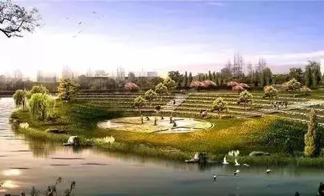 成都未来哪个片区发展规划最好,最新成都规划解读